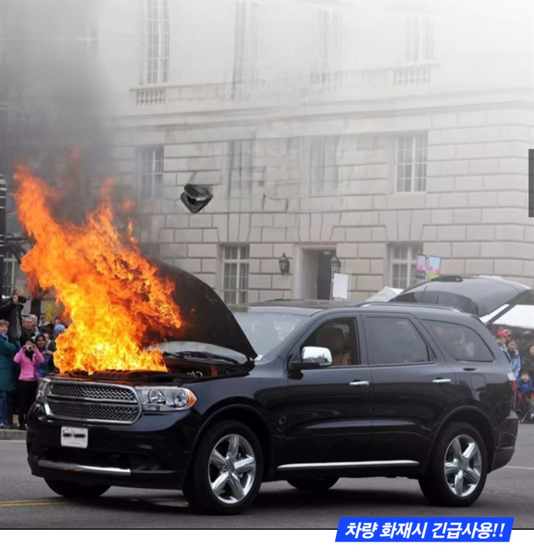 F120251113031943.jpg
