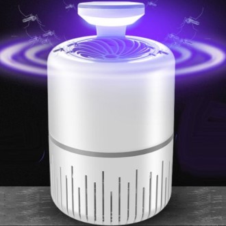 kc���� ������ġ�� ��������� ķ�ο�ǰ �������Ա�